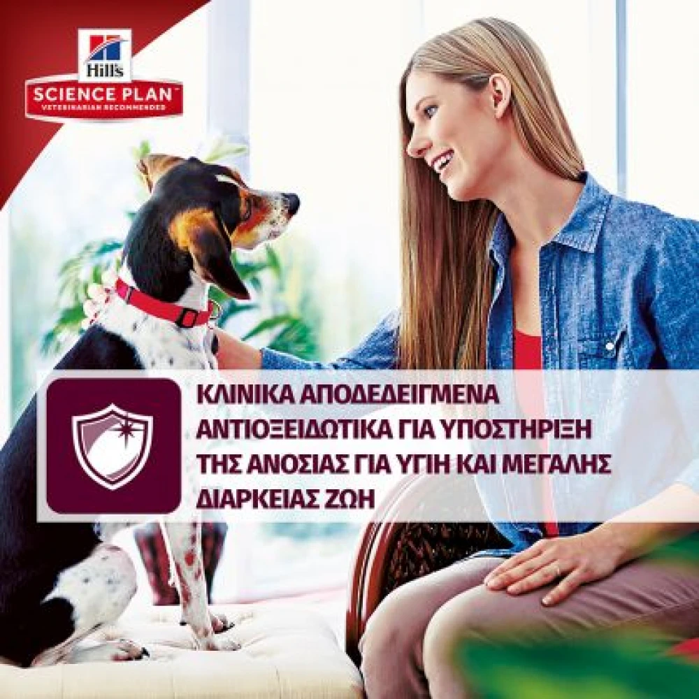 Hills Hill's Science Plan Adult Small & Mini για Σκύλους με Κοτόπουλο 1,5kg (1,2kg + 300gr Δώρο) 6 Hills Hill's Science Plan Adult Small & Mini για Σκύλους με Κοτόπουλο 1,5kg (1,2kg + 300gr Δώρο) - Image 6