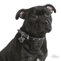 Ταυτότητα Σκύλου My Family Black Amstaff 8 Ταυτότητα Σκύλου My Family Black Amstaff -Προμήθειες Για Κατοικίδια Κατάστημα πωλήσεων amstaff2 1000x1000 1