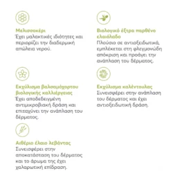 OEM Αλοιφή Ανάπλασης Δέρματος Intuizoon Anaplasis 75ml Για Σκύλους Και Γάτες -Προμήθειες Για Κατοικίδια Κατάστημα πωλήσεων anaplasis sistasi petshop88 1000x1000h