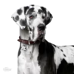 Ταυτότητα Σκύλου My Family Harlequin Great Dane -Προμήθειες Για Κατοικίδια Κατάστημα πωλήσεων arle2 1000x1000 1