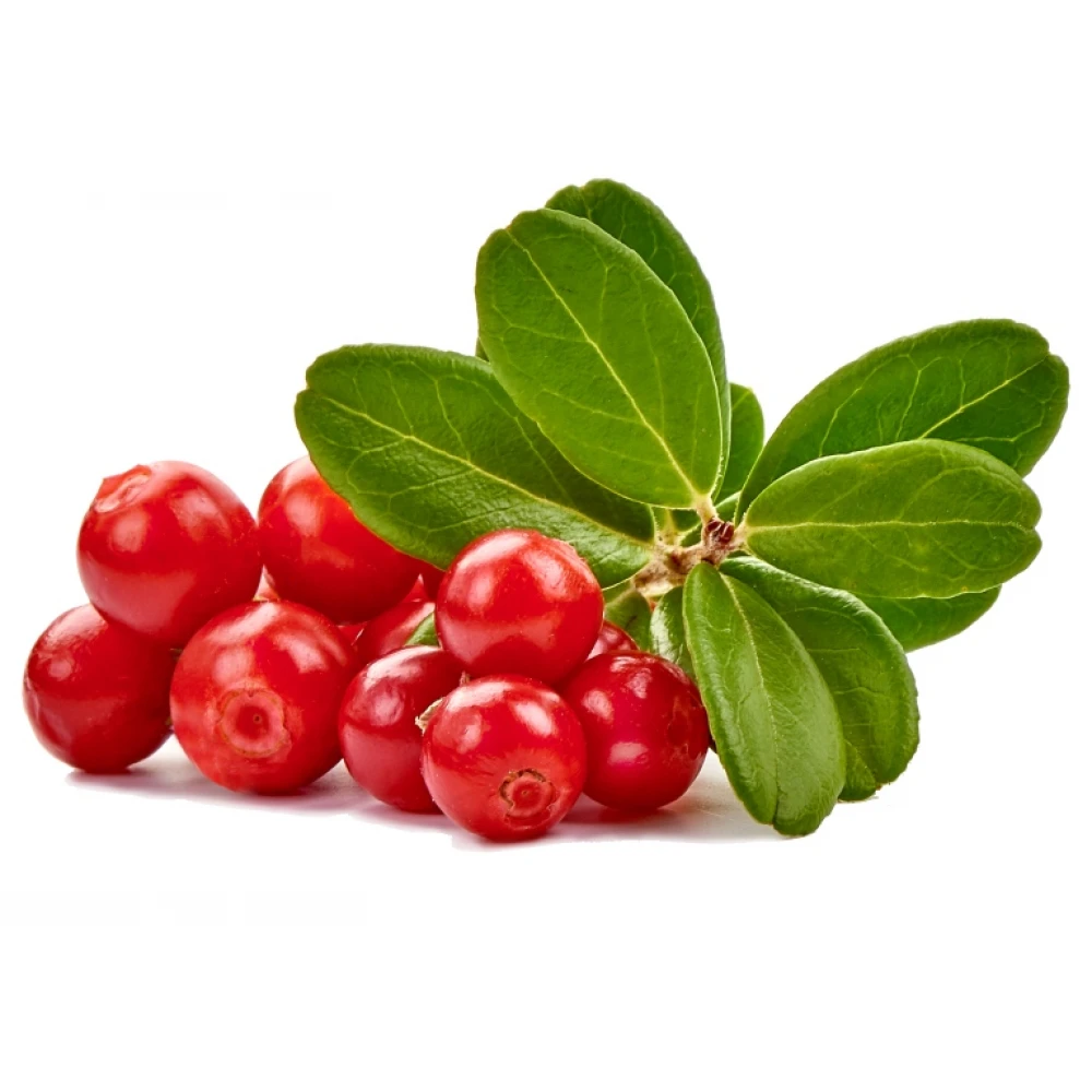 Petex Σαμπουάν DeadSea για λευκό τρίχωμα Coconut Oil και Bearberries 400ml 3 Petex Σαμπουάν DeadSea για λευκό τρίχωμα Coconut Oil και Bearberries 400ml - Image 3