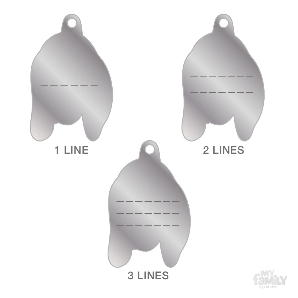 Ταυτότητα Σκύλου My Family Basset Hound 5 Ταυτότητα Σκύλου My Family Basset Hound - Image 5