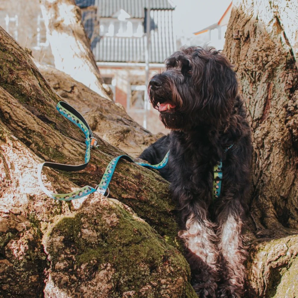 Λουρί - Οδηγός Max & Molly Black Sheep Small 1,5x120cm 4 Λουρί - Οδηγός Max & Molly Black Sheep Small 1,5x120cm - Image 4