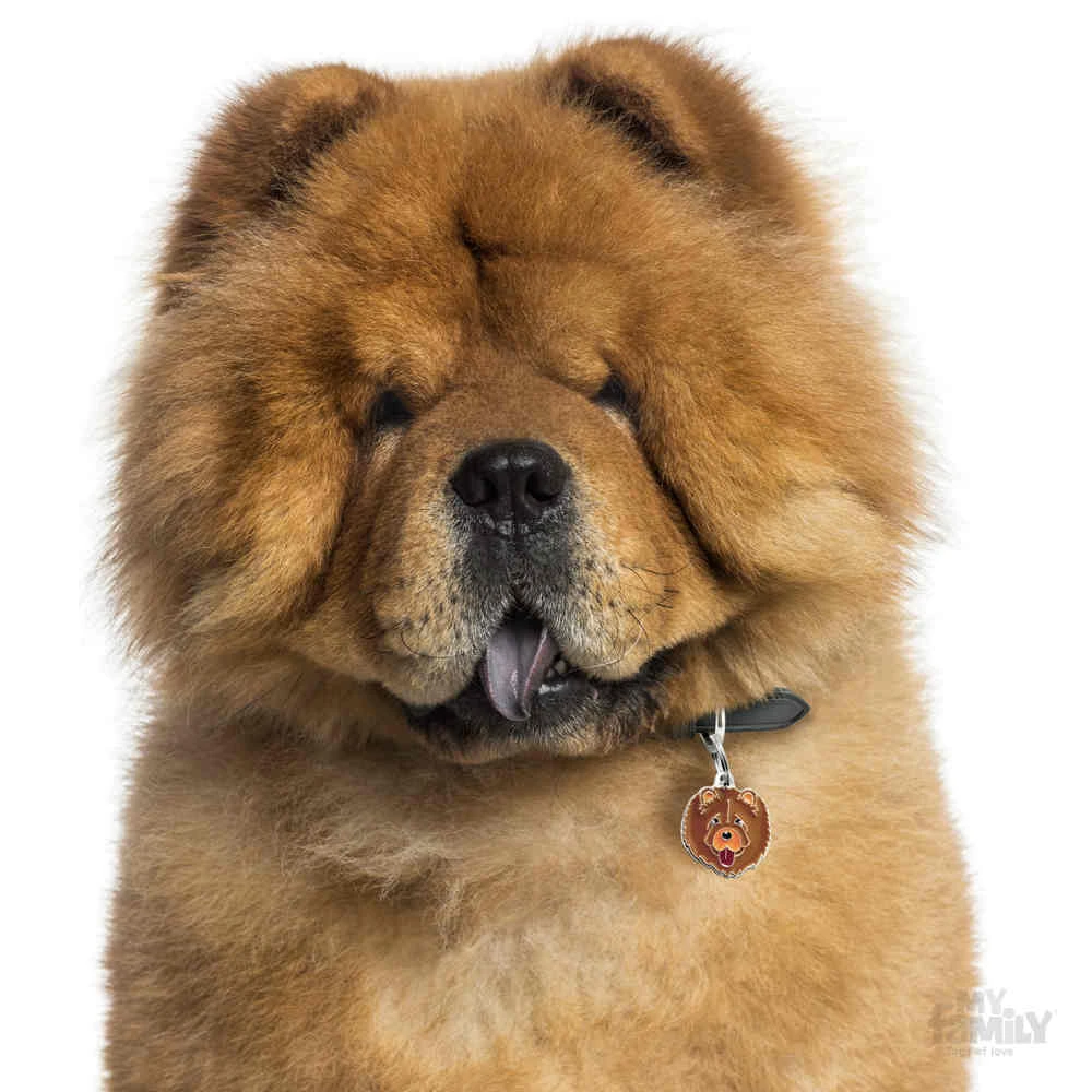 Ταυτότητα Σκύλου My Family Chow Chow Brown 3 Ταυτότητα Σκύλου My Family Chow Chow Brown - Image 3