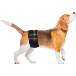 Croci Ζωνη για Μαρκάρισμα Αρσενικών Σκύλων Large 18cm X40-50cm -Προμήθειες Για Κατοικίδια Κατάστημα πωλήσεων croci zoni gia markarisma arsenikon skylon petshop88 1 1 1000x1000w