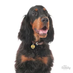 Ταυτότητα Σκύλου My Family Charms Danger -Προμήθειες Για Κατοικίδια Κατάστημα πωλήσεων danger1 1000x1000 1