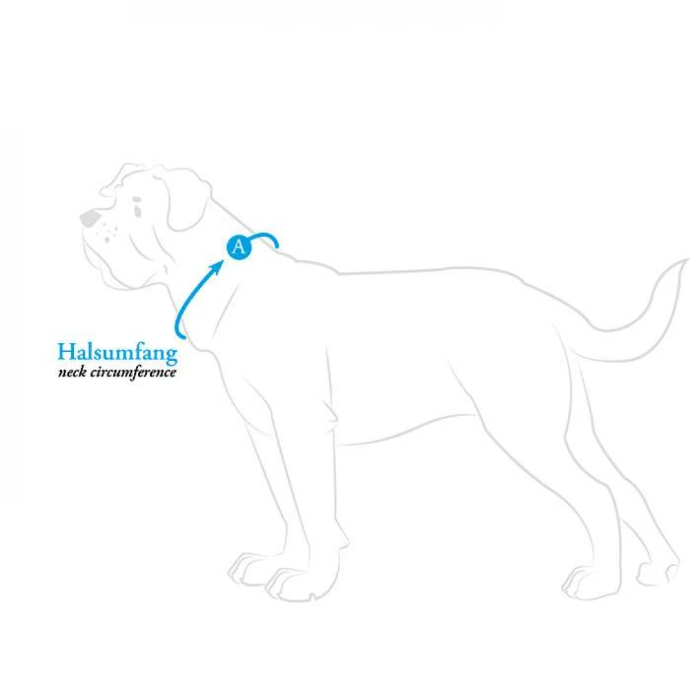 Κολάρο Σκύλου Hunter Vario Basic Alu-strong Xl (2,5cm X 45-65cm) Κόκκινο 3 Κολάρο Σκύλου Hunter Vario Basic Alu-strong Xl (2,5cm X 45-65cm) Κόκκινο - Image 3