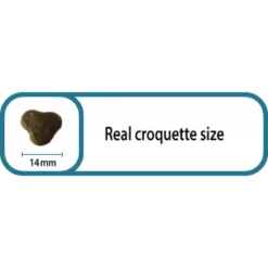 Picart Nutribest Activity 15kg -Προμήθειες Για Κατοικίδια Κατάστημα πωλήσεων eng nutribest activity14mm 1000x1000w