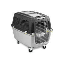 Stefanplast Κλουβί Μεταφοράς Gulliver Iata No5 (81 X 61 X 60h Cm) -Προμήθειες Για Κατοικίδια Κατάστημα πωλήσεων gulliver iata5 1000x1000w 1