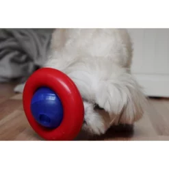 Kong Gyro Small -Προμήθειες Για Κατοικίδια Κατάστημα πωλήσεων gyroooo 1000x1000w