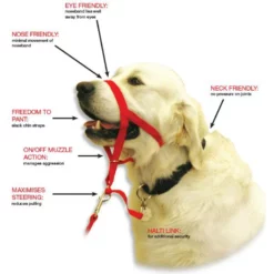 Εκπαιδευτικό Περιστόμιο Halti No3 (40-56cm) -Προμήθειες Για Κατοικίδια Κατάστημα πωλήσεων halti203 1000x1000 1
