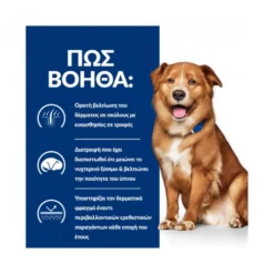 Hills Hill's Prescription Diet Derm Complete Skin Care And Food Sensitivities Για Σκύλους 12kg (10 + 2kg Δώρο) -Προμήθειες Για Κατοικίδια Κατάστημα πωλήσεων hill s pd canine derm complete 4 petshop88 1000x1000w