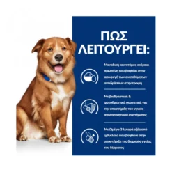 Hills Hill's Prescription Diet Derm Complete Skin Care And Food Sensitivities Για Σκύλους 12kg (10 + 2kg Δώρο) -Προμήθειες Για Κατοικίδια Κατάστημα πωλήσεων hill s pd canine derm complete petshop88 1000x1000w