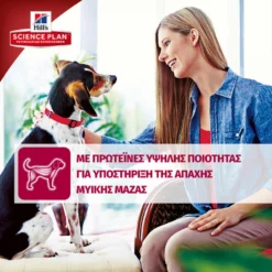 Hills Hill's Science Plan Adult Medium Για Σκύλους Με Κοτόπουλο 14kg -Προμήθειες Για Κατοικίδια Κατάστημα πωλήσεων hills adult medium chicken 3 1000x1000 1