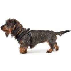 Επιστήθιο Σκύλου Hunter Hilo Soft Comfort 52-58cm Γκρι -Προμήθειες Για Κατοικίδια Κατάστημα πωλήσεων hu hilo harness3 1000x1000 2