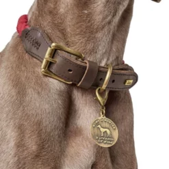 Περιλαίμιο Σκύλου Hunter List 1,5 X 57x65cm Κόκκινο -Προμήθειες Για Κατοικίδια Κατάστημα πωλήσεων hu list2 1000x1000 1