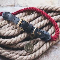 Περιλαίμιο Σκύλου Hunter List 1,5 X 57x65cm Κόκκινο -Προμήθειες Για Κατοικίδια Κατάστημα πωλήσεων hu list3 1000x1000 1