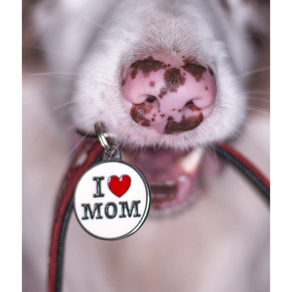 Ταυτότητα Σκύλου My Family Charms I Love Mom 3 Ταυτότητα Σκύλου My Family Charms I Love Mom - Image 3