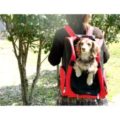 Ferplast Trolley Τσάντα Μεταφοράς M 32x28xh51cm Κόκκινο 5 Ferplast Trolley Τσάντα Μεταφοράς M 32x28xh51cm Κόκκινο -Προμήθειες Για Κατοικίδια Κατάστημα πωλήσεων img58920895 1000x1000w 1