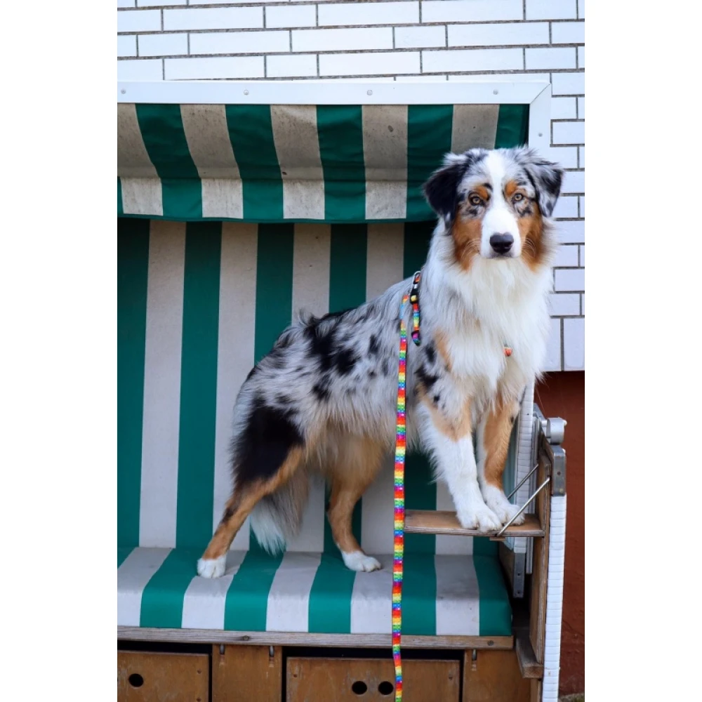 Λουρί - Οδηγός Max & Molly Jelly Bears Small 1,5x120cm 5 Λουρί - Οδηγός Max & Molly Jelly Bears Small 1,5x120cm - Image 5