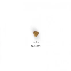 Hills Hill's Science Plan Kitten Healthy Development Για Γάτες Με Κοτόπουλο 1,5kg (1,2kg + 300gr Δώρο) -Προμήθειες Για Κατοικίδια Κατάστημα πωλήσεων kitten 1000x1000 1