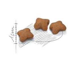 Royal Canin Kitten Sterilised 2kg -Προμήθειες Για Κατοικίδια Κατάστημα πωλήσεων kitten sterilised d6h7 oa 1000x1000w