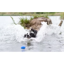 Παιχνίδι Σκύλου Kiwi Walker Lets Play Ball 9cm Green -Προμήθειες Για Κατοικίδια Κατάστημα πωλήσεων kiwi ball 1 1000x1000w 1