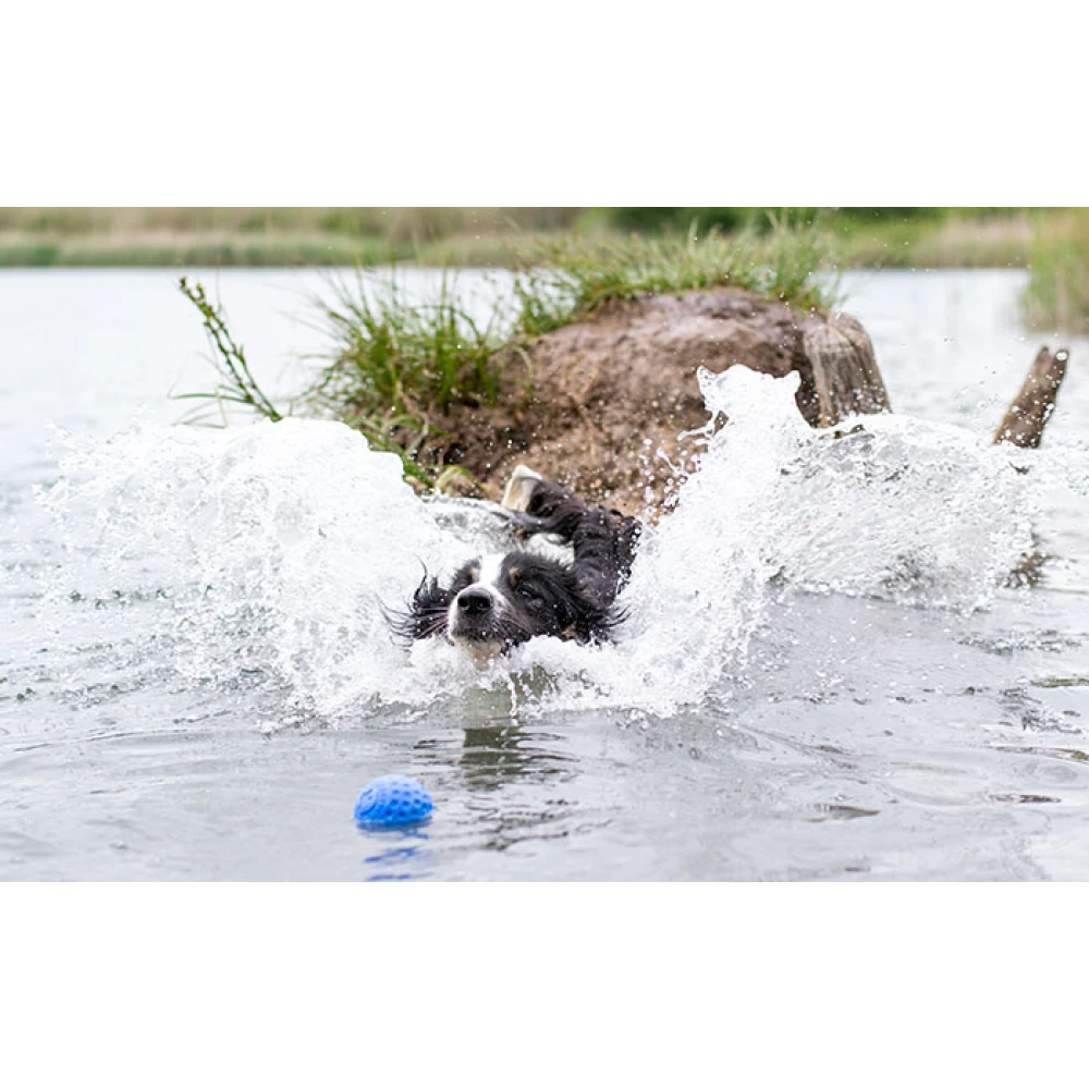 Παιχνίδι Σκύλου Kiwi Walker Lets Play Ball 9cm Pink 3 Παιχνίδι Σκύλου Kiwi Walker Lets Play Ball 9cm Pink - Image 3