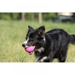 Παιχνίδι μπάλα σκύλου Kiwi Walker Glow Ball Mini 6cm 9 Παιχνίδι μπάλα σκύλου Kiwi Walker Glow Ball Mini 6cm -Προμήθειες Για Κατοικίδια Κατάστημα πωλήσεων kiwi ball 1000x1000 1