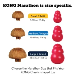 Kong Μπισκότα Marathon με κοτόπουλο Large 11 Kong Μπισκότα Marathon με κοτόπουλο Large -Προμήθειες Για Κατοικίδια Κατάστημα πωλήσεων marathon SizeSpecific 01 20200921192627 20200921192854 1000x1000 1000x1000 1