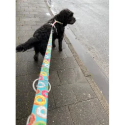 Επιστήθιο Max & Molly Donuts Large 2,5x70-98cm 13 Επιστήθιο Max & Molly Donuts Large 2,5x70-98cm -Προμήθειες Για Κατοικίδια Κατάστημα πωλήσεων mm donut 1000x1000h 1