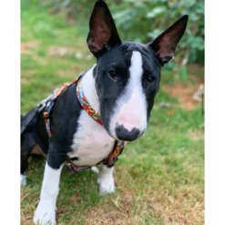 Επιστήθιο Max & Molly Heroes Medium 2x53-69cm -Προμήθειες Για Κατοικίδια Κατάστημα πωλήσεων mm heroes 1000x1000h