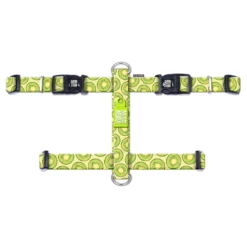 Επιστήθιο Max & Molly Kiwi Large 2,5x70-98cm -Προμήθειες Για Κατοικίδια Κατάστημα πωλήσεων mm kiwi3 1000x1000w