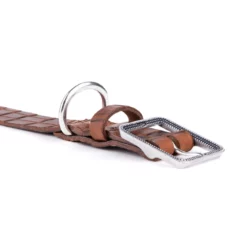 Περιλαίμιο My Family Tuscon Xxl 4x49-59cm Καφέ -Προμήθειες Για Κατοικίδια Κατάστημα πωλήσεων my20family20tuscon2 1000x1000w