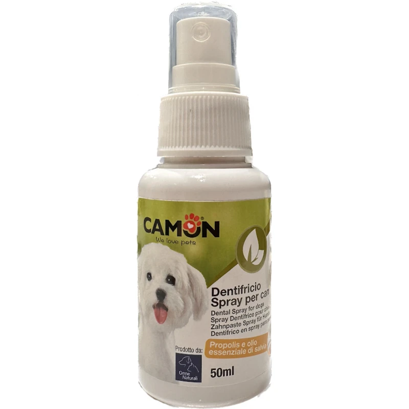 Οδοντόκρεμα Σε Spray Της Camon 50ml 1 Οδοντόκρεμα Σε Spray Της Camon 50ml