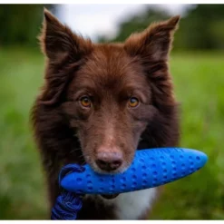 Παιχνίδι σκύλου Kiwi Walker Lets Play Zeppelin Maxi 22cm Πράσινο 9 Παιχνίδι σκύλου Kiwi Walker Lets Play Zeppelin Maxi 22cm Πράσινο -Προμήθειες Για Κατοικίδια Κατάστημα πωλήσεων paichnidi skuloy kiwi walker lets play zeppelin maxi 22cm portokali 3 petshop88 1000x1000w 4