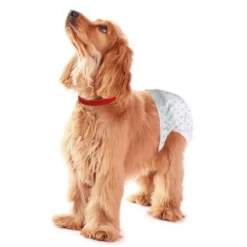 OEM Πάνες Βρακάκια Σκύλου Les Filous Large (50 - 68cm 10τμχ) -Προμήθειες Για Κατοικίδια Κατάστημα πωλήσεων panes dog 1000x1000h