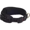 Περιλαίμιο Σκύλου Rogz Utility Padded Black Large 30-42cm