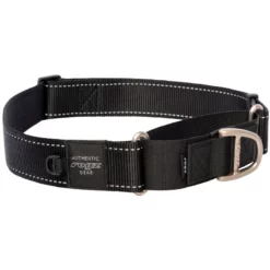 Περιλαίμιο Σκύλου Rogz Utility Web Control Black 2XLarge 2,5x53-80cm