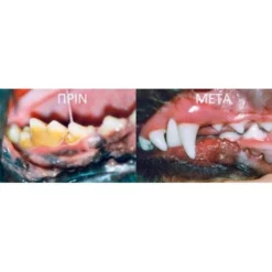 Plaqueoff Κατά Της Κακοσμίας, ΄Πέτρας Και Πλάκας Για Σκύλους 180gr -Προμήθειες Για Κατοικίδια Κατάστημα πωλήσεων plaque off 1 1000x1000 2