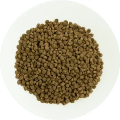 Prochoice Kitten Lamb 2kg -Προμήθειες Για Κατοικίδια Κατάστημα πωλήσεων prochoice kitten lamb petshop88 3 1000x1000 1