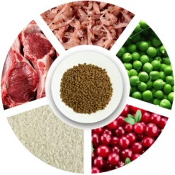 Prochoice Kitten Lamb 2kg -Προμήθειες Για Κατοικίδια Κατάστημα πωλήσεων prochoice kitten lamb petshop88 4 1000x1000 1