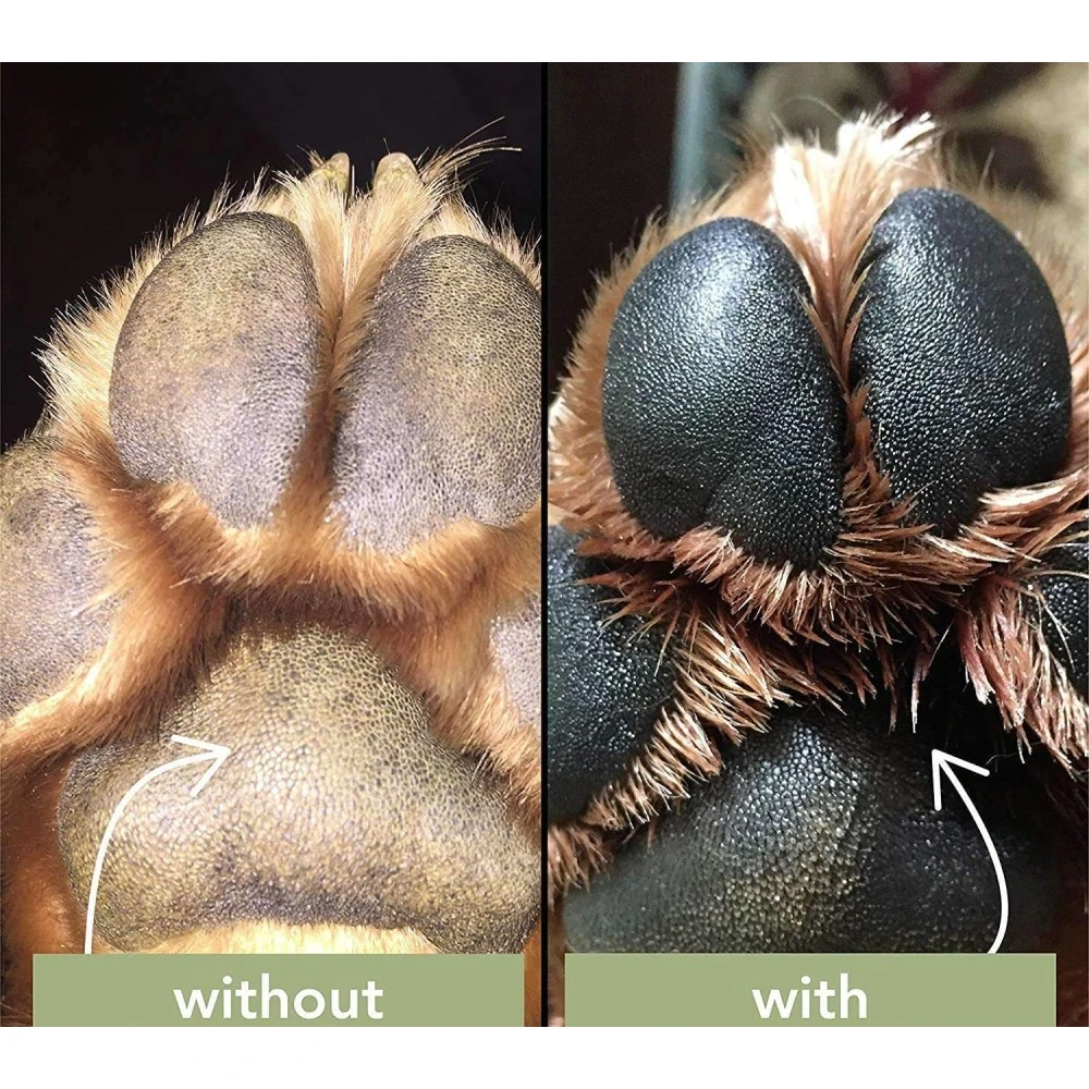 Προστατευτικό Stick Natural Dog Company Paw Soother 60ml για τις Πατούσες 3 Προστατευτικό Stick Natural Dog Company Paw Soother 60ml για τις Πατούσες - Image 3