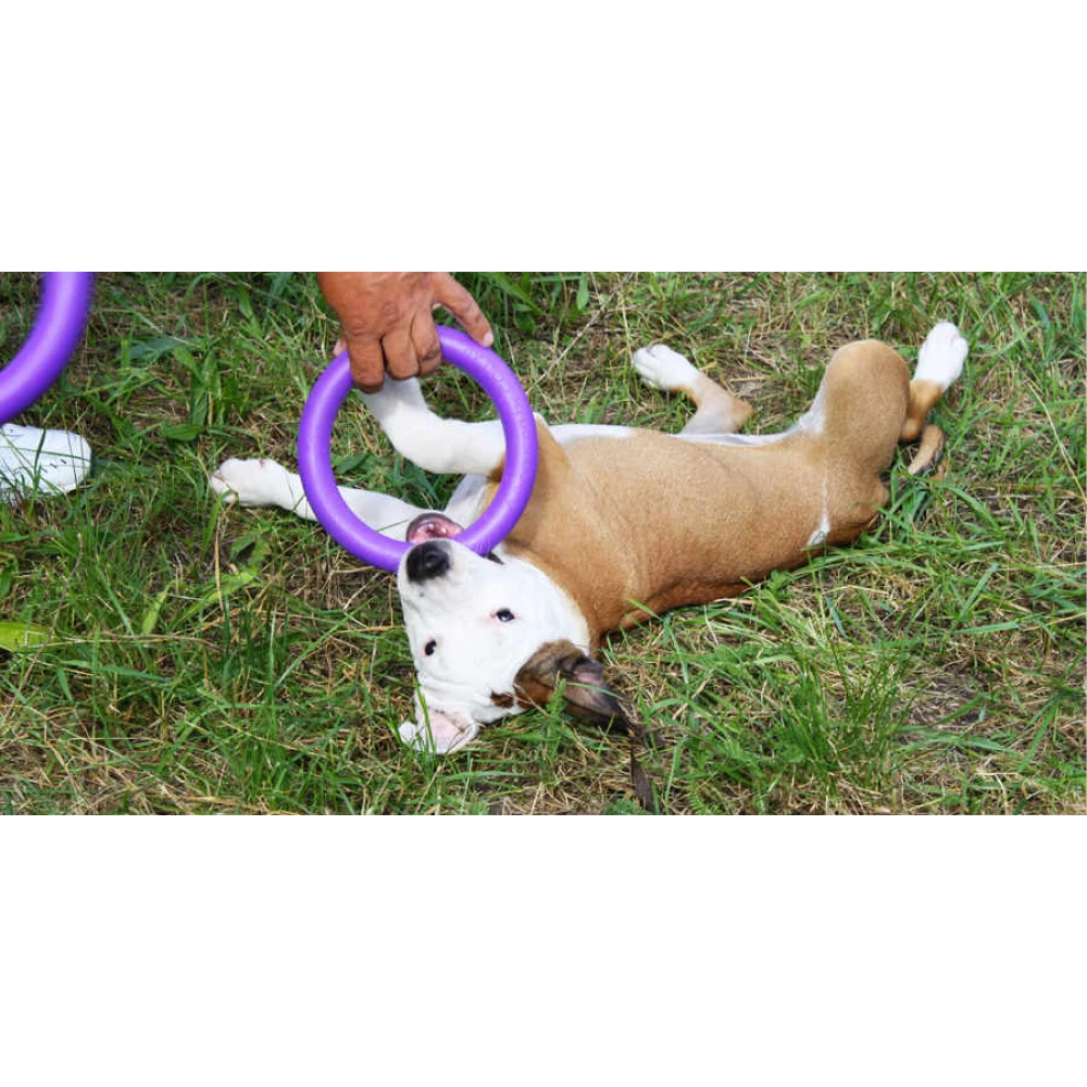 Εκπαιδευτικό Παιχνίδι Σετ Puller Mini 18x2 Cm ( 2τμχ ) 4 Εκπαιδευτικό Παιχνίδι Σετ Puller Mini 18x2 Cm ( 2τμχ ) - Image 4