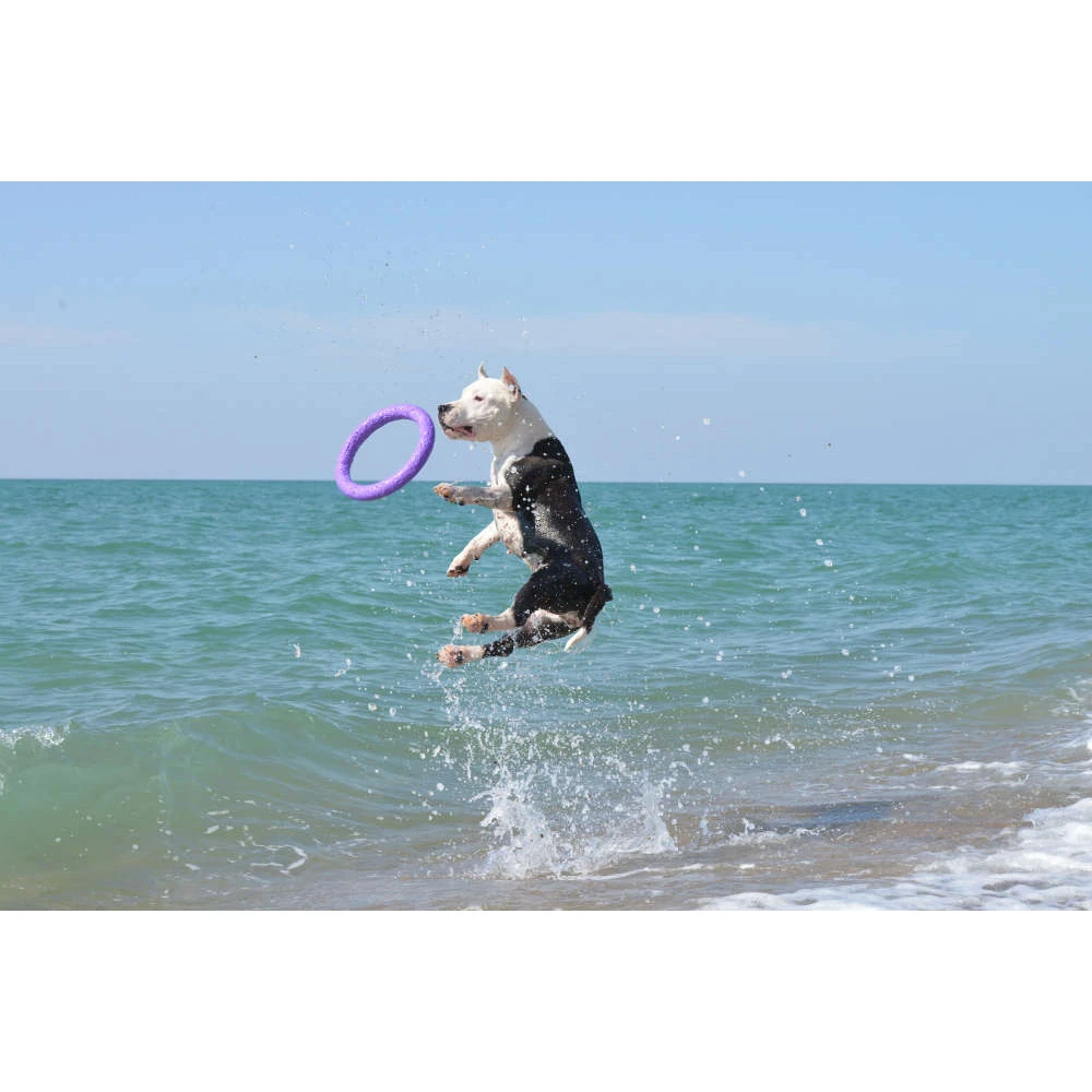 Εκπαιδευτικό Παιχνίδι Σετ Puller Midi 20x3 Cm ( 2τμχ ) 5 Εκπαιδευτικό Παιχνίδι Σετ Puller Midi 20x3 Cm ( 2τμχ ) - Image 5