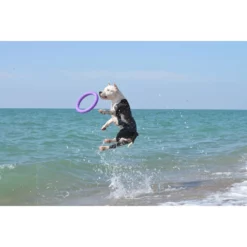 Εκπαιδευτικό Παιχνίδι Σετ Puller Mini 18x2 Cm ( 2τμχ ) 6 Εκπαιδευτικό Παιχνίδι Σετ Puller Mini 18x2 Cm ( 2τμχ ) -Προμήθειες Για Κατοικίδια Κατάστημα πωλήσεων puller sea 1000x1000w 2