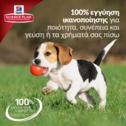Hills Hill's Science Plan Puppy Medium Για Σκύλους Με Αρνί 14kg -Προμήθειες Για Κατοικίδια Κατάστημα πωλήσεων puppyhillsm 1000x1000 1