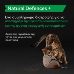 Purina Pro Plan Cat Natural Defences + Συμπλήρωμα Διατροφής Γάτας για Φυσική Άμυνα σε Σκόνη 60gr -Προμήθειες Για Κατοικίδια Κατάστημα πωλήσεων purina pro plan cat natural defences sympliroma diatrofis gatas gia fysiki amyna se skoni 60gr petshop88 2 1000x1000 1
