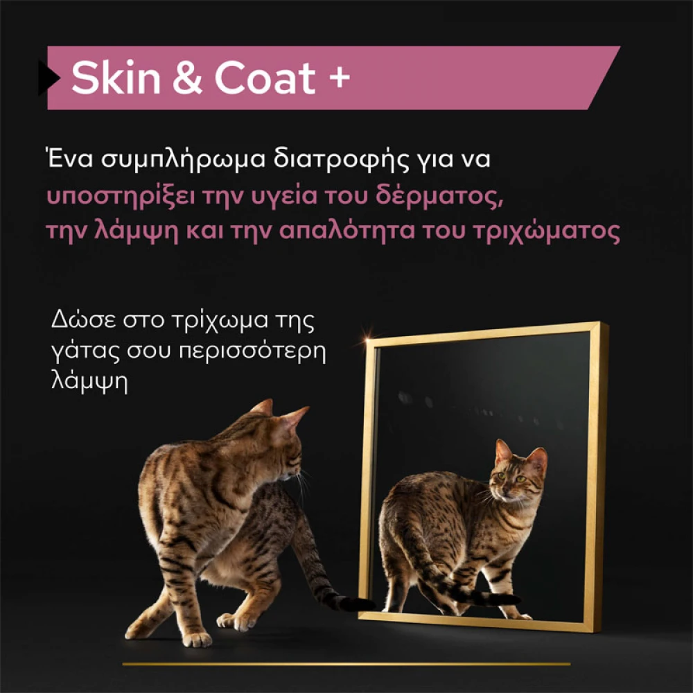 Purina Pro Plan Cat Skin & Coat + Συμπλήρωμα Διατροφής Γάτας για Δέρμα και Τρίχωμα σε Έλαιο 150ml 3 Purina Pro Plan Cat Skin & Coat + Συμπλήρωμα Διατροφής Γάτας για Δέρμα και Τρίχωμα σε Έλαιο 150ml - Image 3