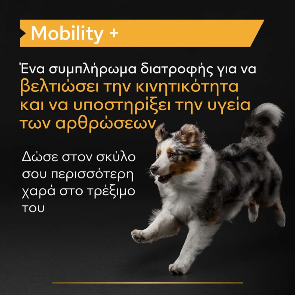 Purina Pro Plan Dog Mobility + Συμπλήρωμα Διατροφής Σκύλου Για Κινητικότητα Σε Σκόνη 60g 4 Purina Pro Plan Dog Mobility + Συμπλήρωμα Διατροφής Σκύλου Για Κινητικότητα Σε Σκόνη 60g - Image 4